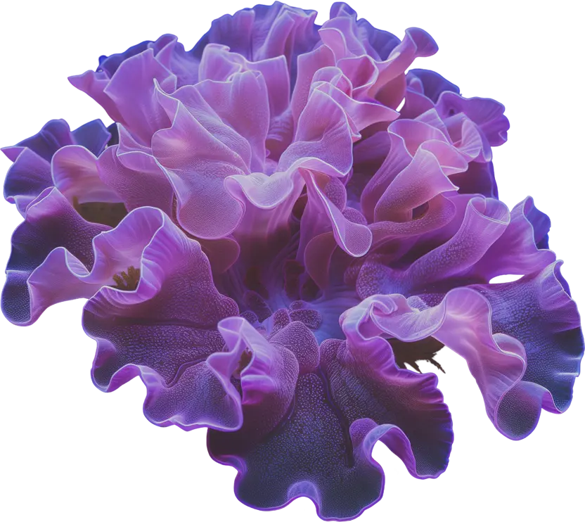 Cinema Mystica Csoportoknak/Groups oldal bal oldali kiállítás elem