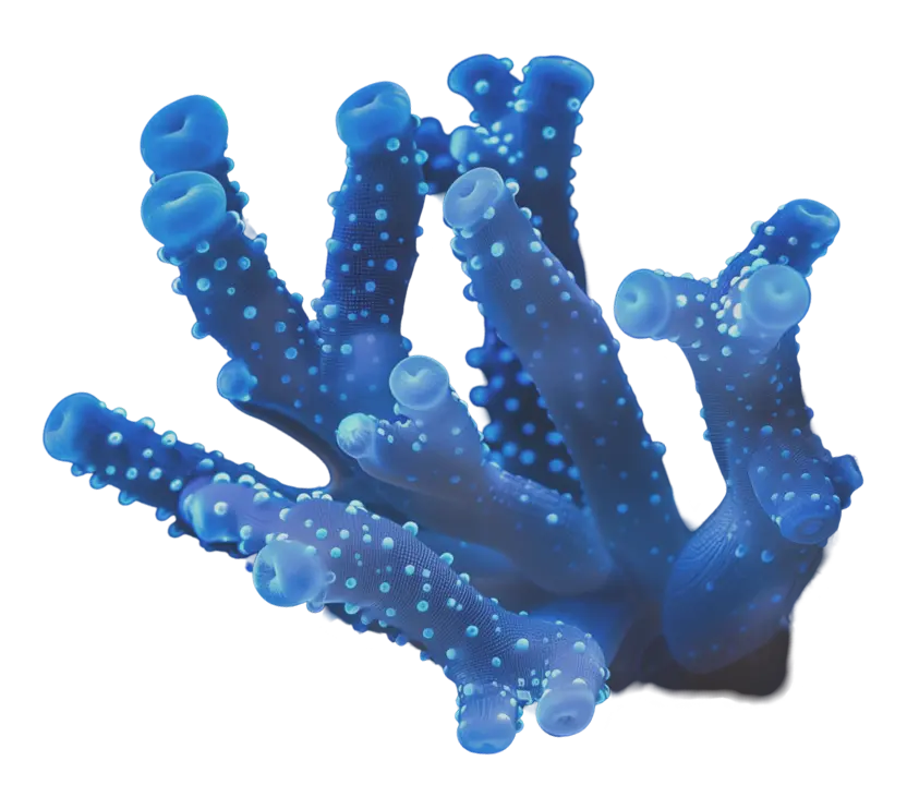 Cinema Mystica Csoportoknak/Groups oldal jobb oldali kiállítás elem